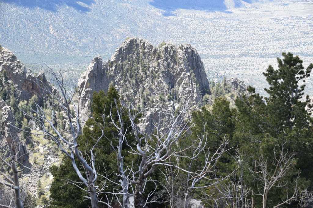 DSC_0644Mittel_.JPG